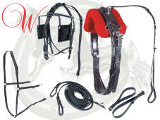 FINIMENTO PLASTICA WALSH QH