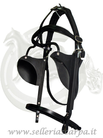 BRIGLIA BIOTHANE MEDIA