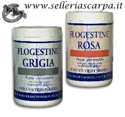 FLOGESTINE PASTA PER TENDINI