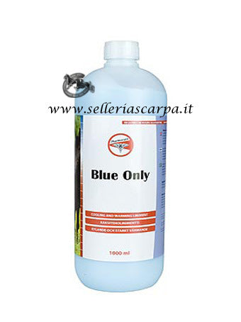 BLUE ONLY