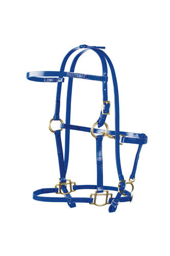 BRIGLIA CAVEZZA ENDURANCE LAKOTA