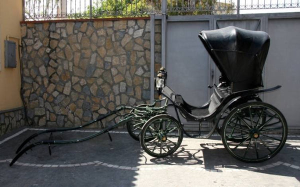CARROZZA SPIDER