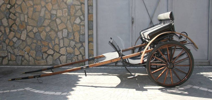 BIROCCIO DA PASSEGGIO BOLOGNESE ART 11