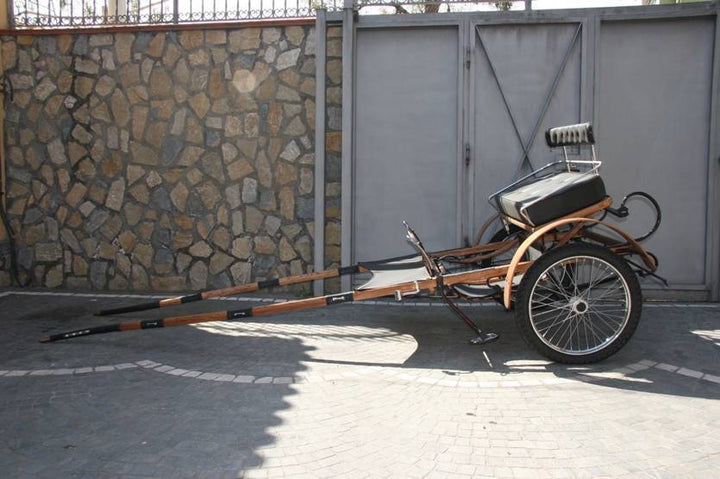 BIROCCIO DA PASSEGGIO ART 13