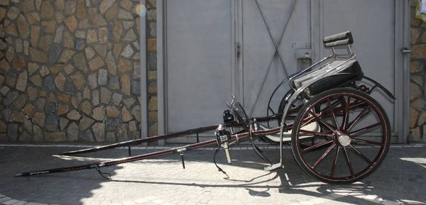BIROCCIO DA PASSEGGIO BOLOGNESE ART 14