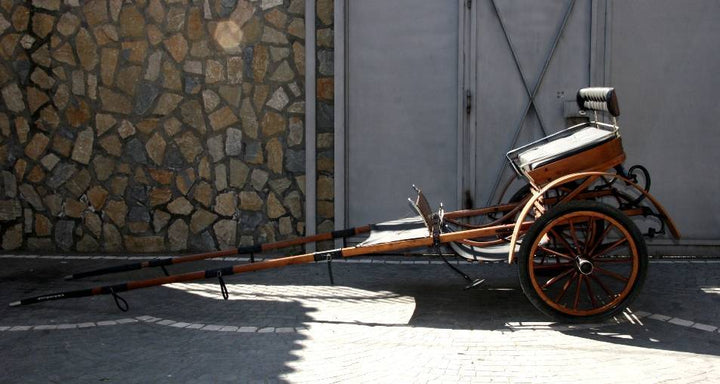 BIROCCIO DA PASSEGGIO ART 15