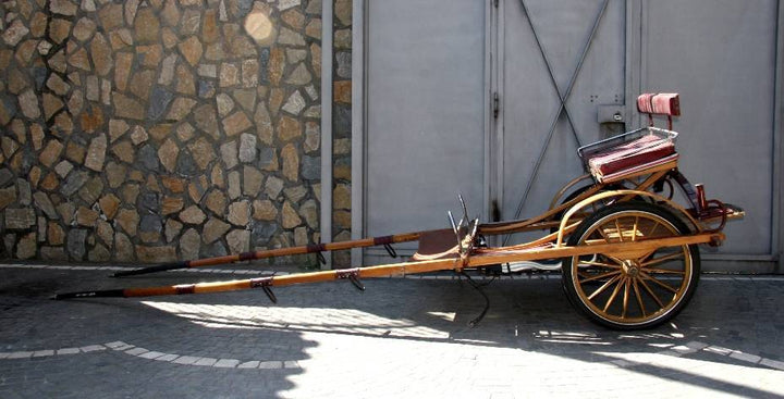 BIROCCIO DA PASSEGGIO ART 16