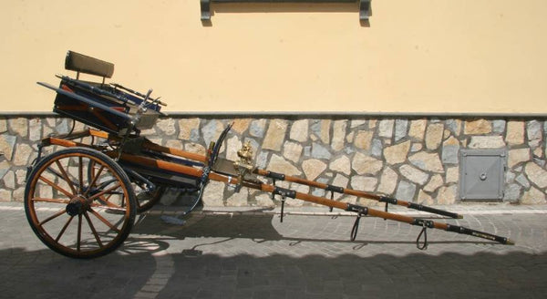 MILITARINO PER CAVALLI FINO A CM 125 ART 17