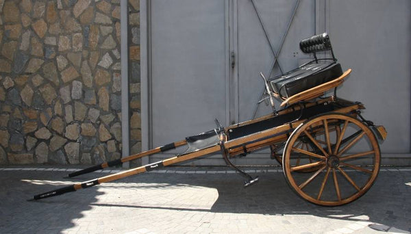 BIROCCIO DA PASSEGGIO BOLOGNESE ART 18