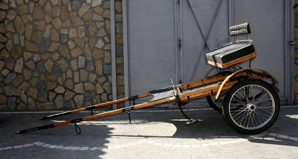 BIROCCIO DA PASSEGGIO ART 10