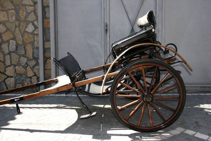 BIROCCIO DA PASSEGGIO BOLOGNESE ART 11