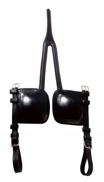 PARAOCCHI DA CARROZZA