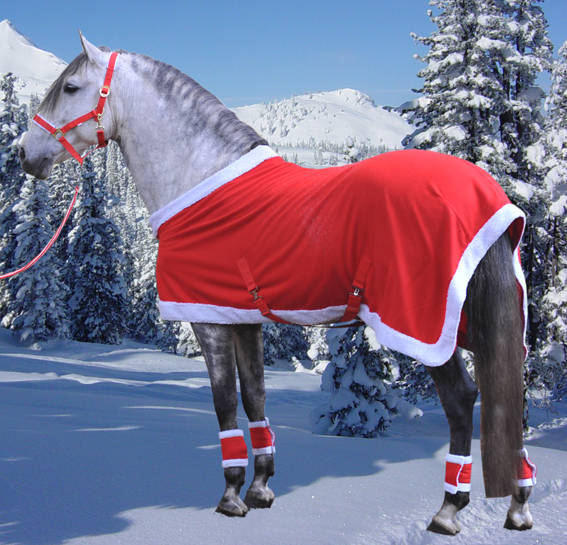 COPERTA PILE NATALE