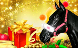 CAVEZZA NATALE