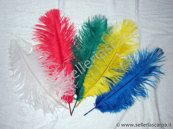 PIUME PICCOLE