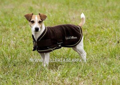 COPERTA CANE PILE POLAR