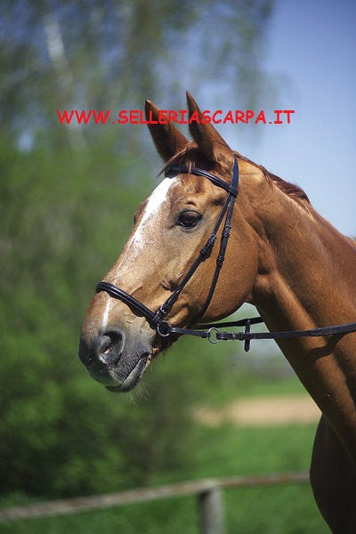 BRIGLIA BITLESS
