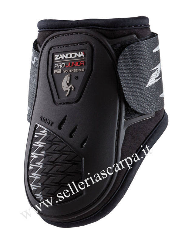 PRO JUNIOR Fetlock ZANDONA'