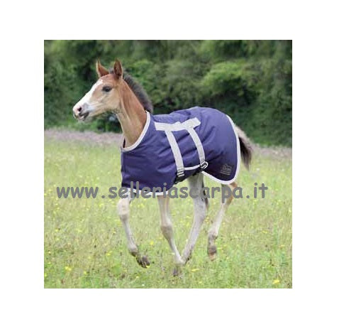 COPERTA SCUDERIA PULEDRI NEONATI