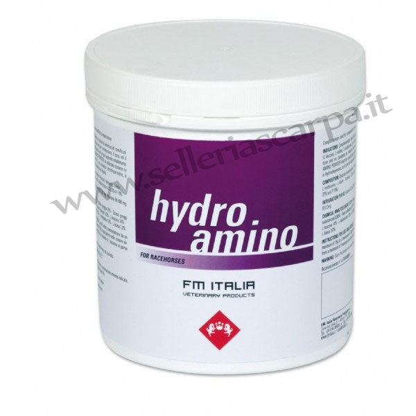 HYDRO AMINO 600GR FM ITALIA