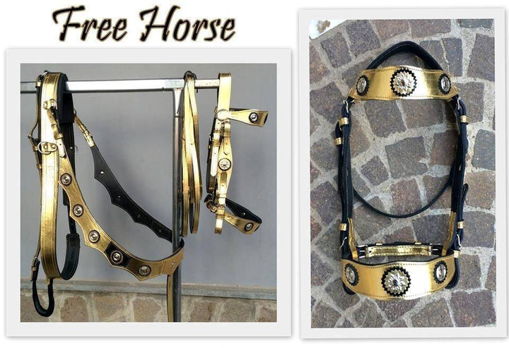 COMPLETO PORTOGHESE FREE HORSE