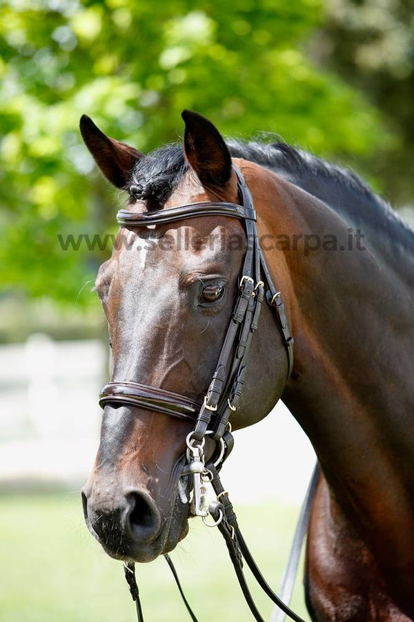 BRIGLIA PER MORSO E FILETTO DRESSAGE TATTINI