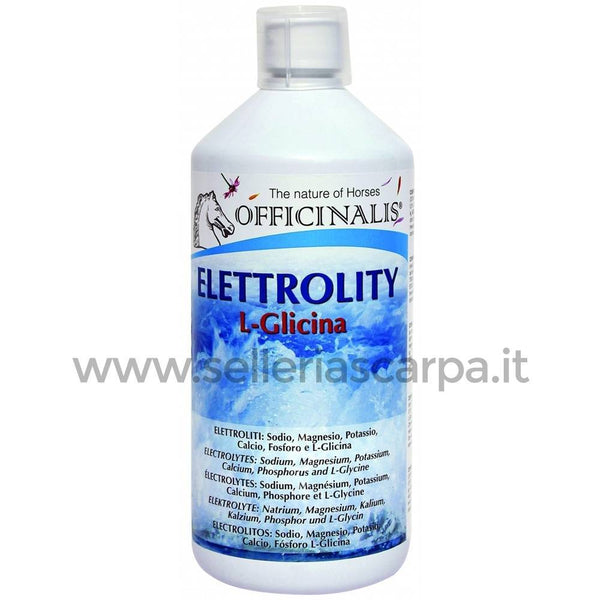 INTEGRATORE ELETTROLITY L-GLICINA OFFICINALIS