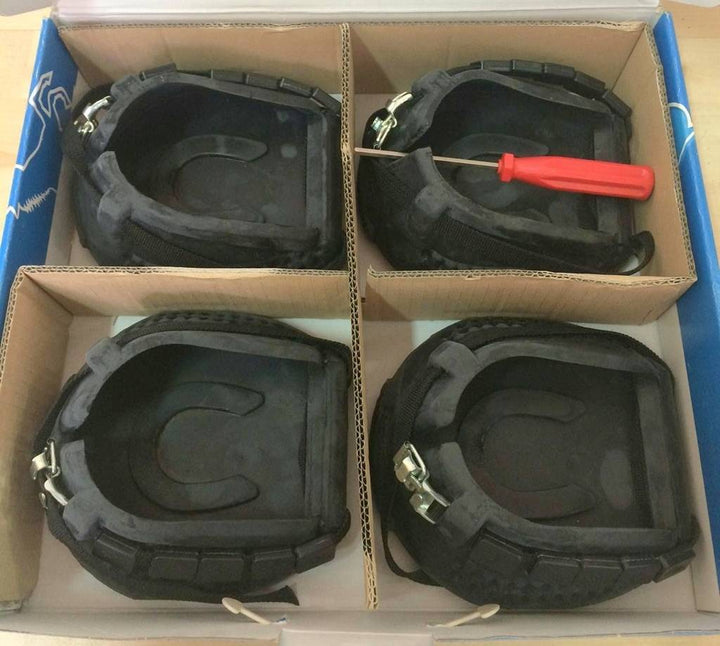 Scarpa "BOSANA" 4 pz