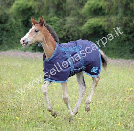 COPERTA PER PULEDRO TEMPEST SHIRES
