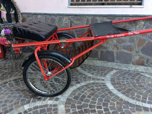 JOG CART FORTWO 2 POSTI FREE HORSE