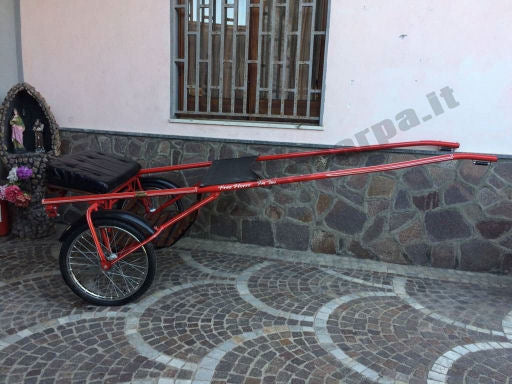 JOG CART FORTWO 2 POSTI FREE HORSE