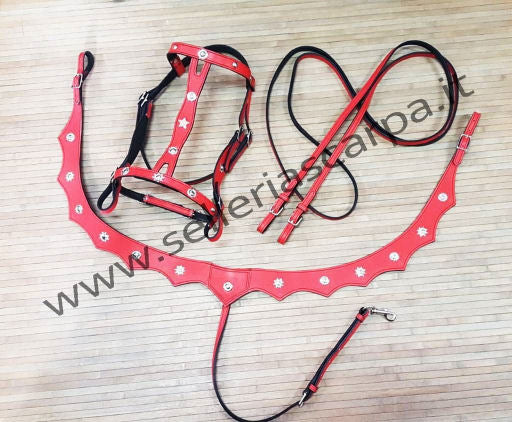 COMPLETO PORTOGHESE SELLERIA SCARPA
