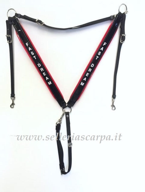 PETTORALE A Y BETA RACING TACK
