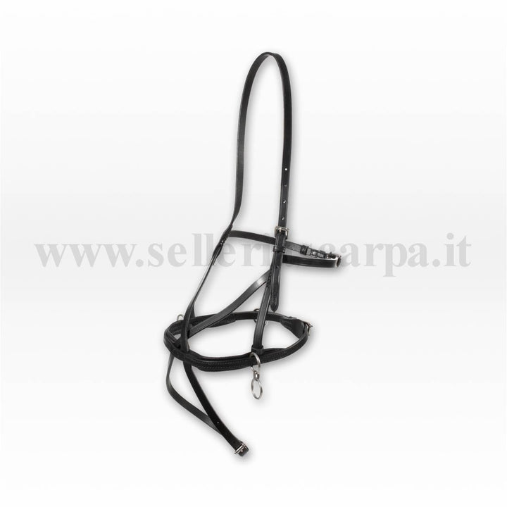 CAVEZZINO BETA INCROCIATO FREE HORSE