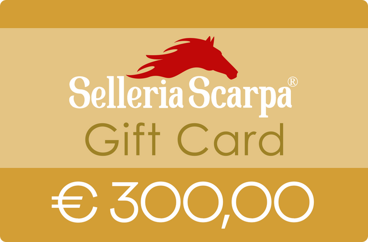 BUONO REGALO € 300.00