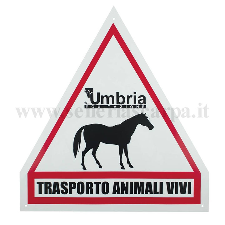 CARTELLO TRASPORTO ANIMALI VIVI UMBRIA EQUITAZIONE VA6009