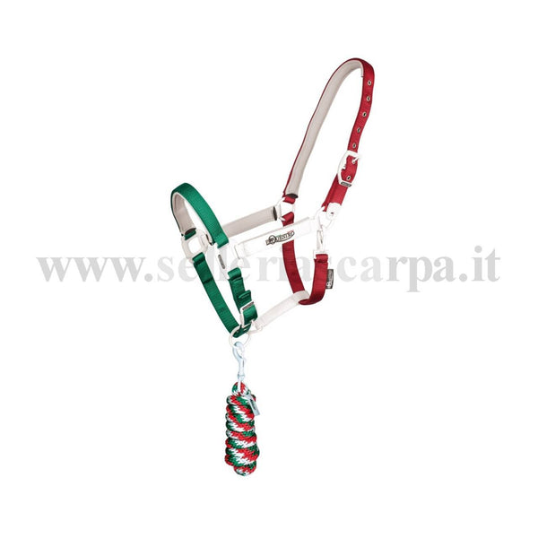 CAVEZZA CON LUNGHINA FAGGY UMBRIA EQUITAZIONE CA00512