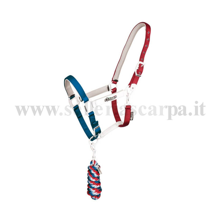 CAVEZZA CON LUNGHINA FAGGY UMBRIA EQUITAZIONE CA00512