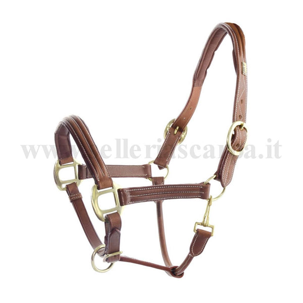 CAVEZZA CUIOIO TRIPLO UMBRIA EQUITAZIONE CA00064