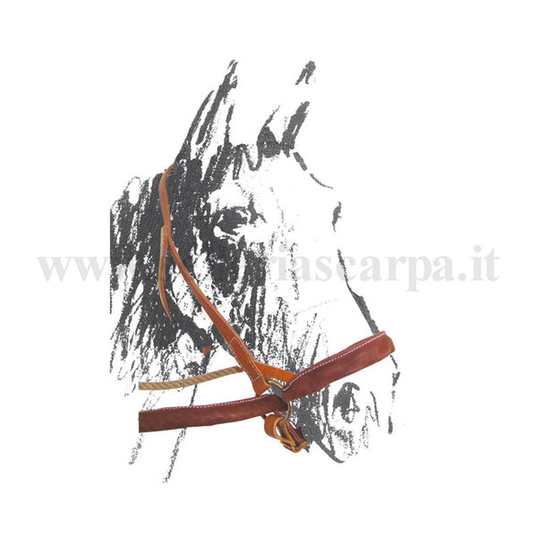 CAVEZZONE MAREMMANO IN CUOIO CON REDINI UMBRIA EQUITAZIONE BR00140