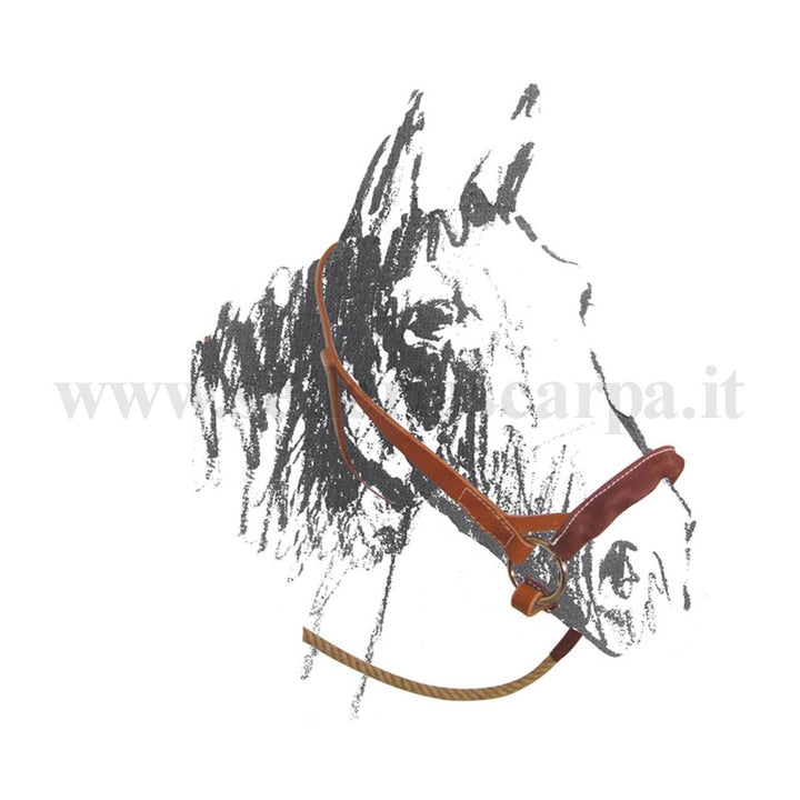 CAVEZZONE MAREMMANO IN CUOIO UMBRIA EQUITAZIONE BR00150