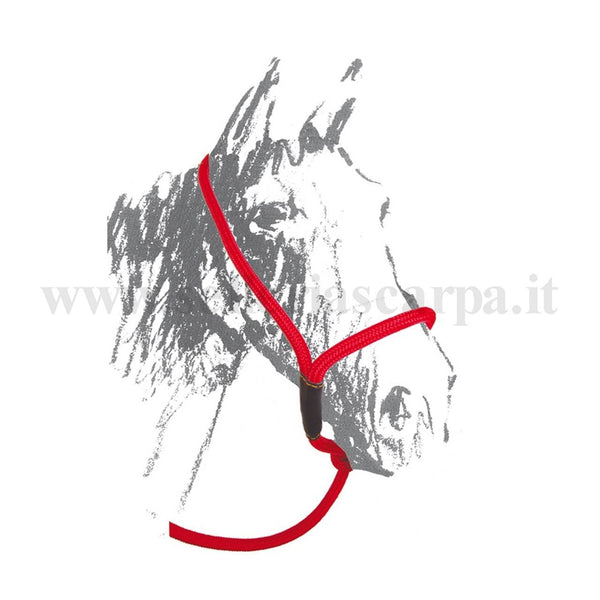 CAVEZZONE MAREMMANO IN NYLON INTRECCIATO UMBRIA EQUITAZIONE BR00152