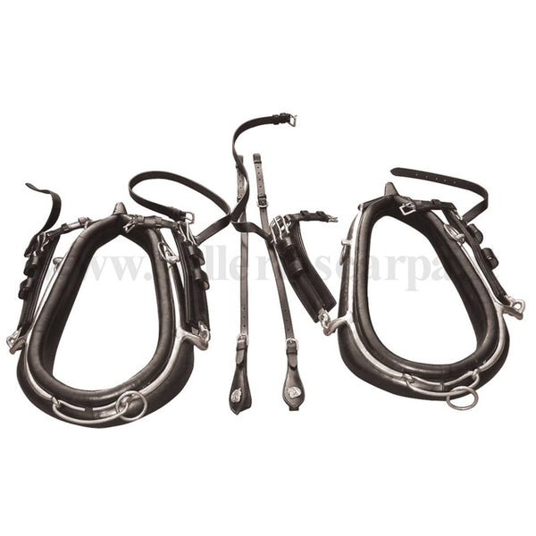 COLLANE PER PARIGLIE UMBRIA EQUITAZIONE SE00576