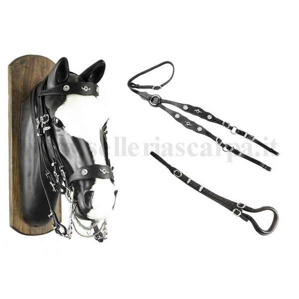 COMPLETO PORTOGHESE UMBRIA EQUITAZIONE BR00202