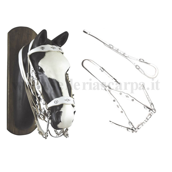 COMPLETO PORTOGHESE UMBRIA EQUITAZIONE BR00202B