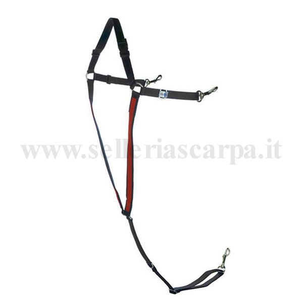 PETTORALE NYLON FORMA Y FINNTACK 11420