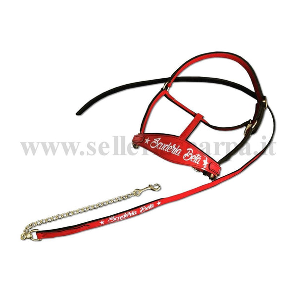 CAVEZZA DAMIAN SELLERIA SCARPA