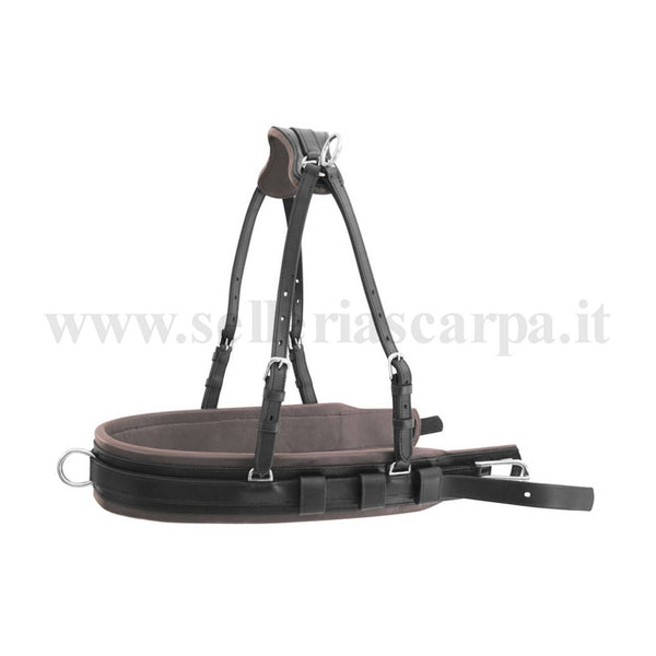 PETTORALE CARROZZA MODELLO LUXURY UMBRIA EQUITAZIONE