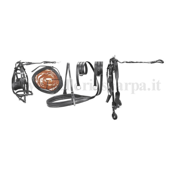 FINIMENTO COMPLETO CALESSE CUOIO SUPERIORE UMBRIA EQUITAZIONE SE00571