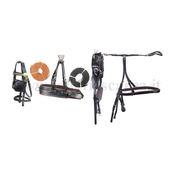 FINIMENTO CARROZZA MODELLO LUXURY UMBRIA EQUITAZIONE AS00200